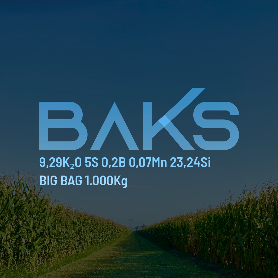 BAKS 9,29K2O 5S 0,2B 0,07Mn 23,24Si - Big Bag